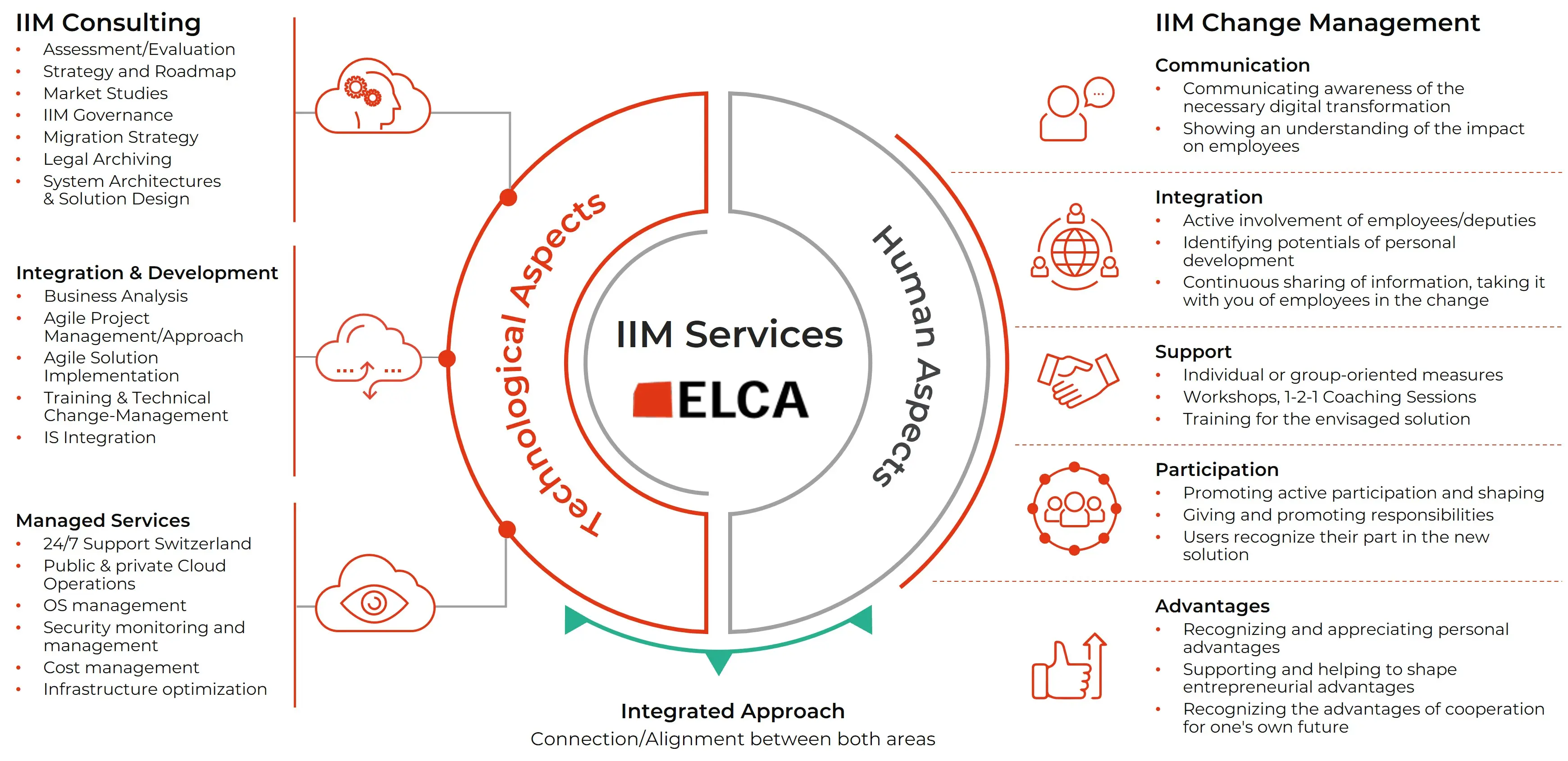 IIM Consulting Overview EN (1) web