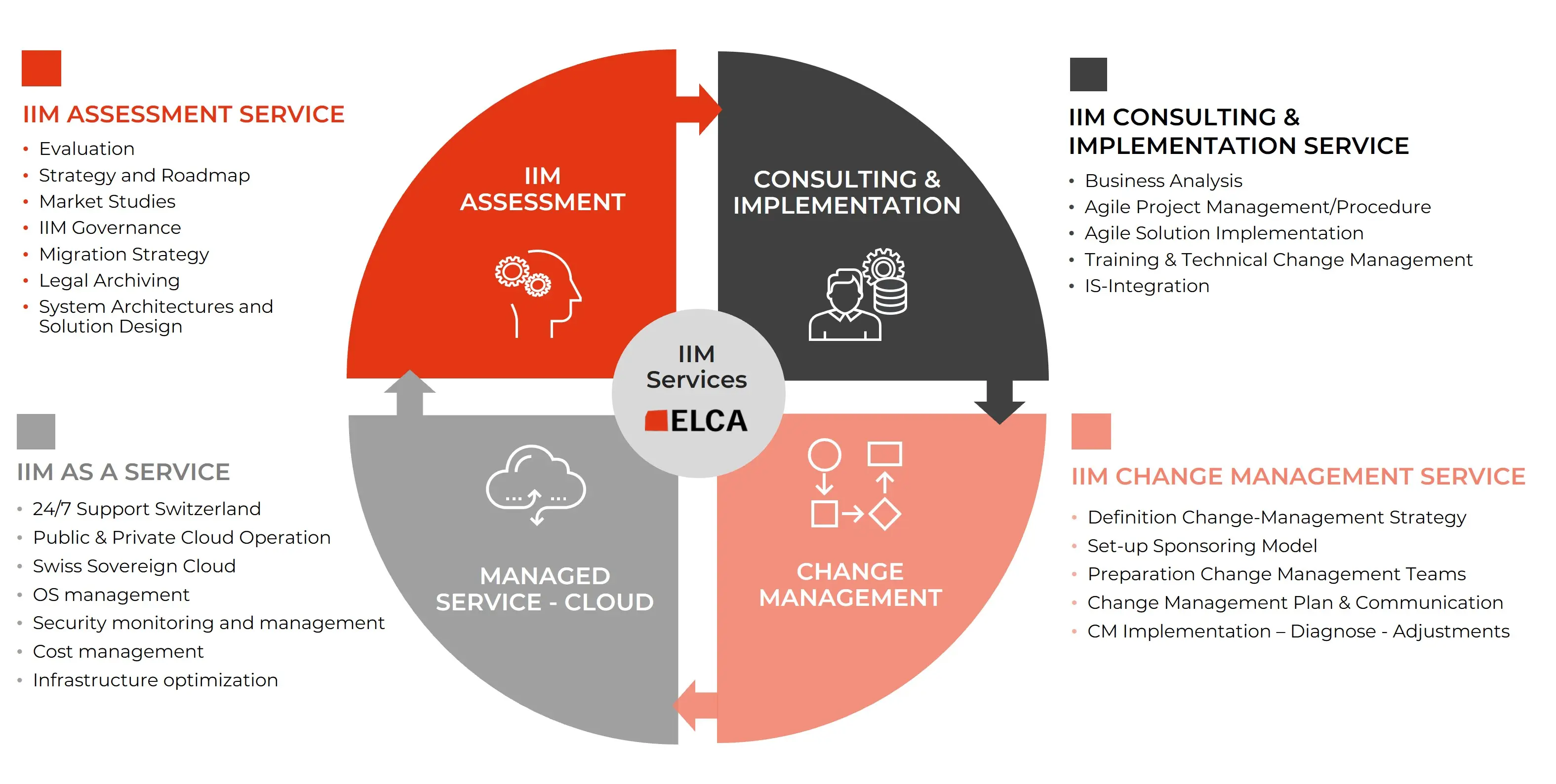 IIM Services  EN web